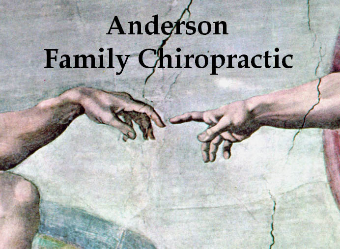 Anderson Family Chiropractic, PLLC, Charlotte, North Carolina 28262